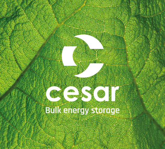 Cesar warmte-accu logo op blad